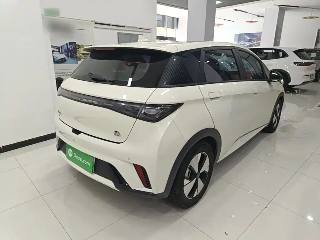 BYD Dolphin — миниатюра 7