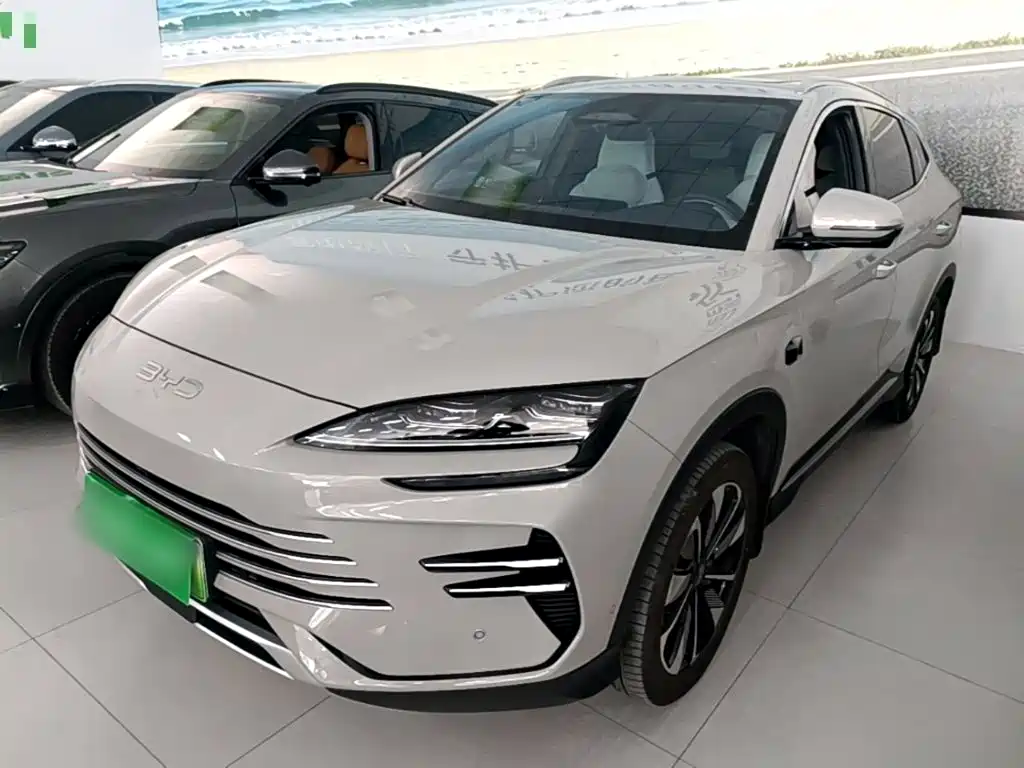 BYD PLUS New Energy — миниатюра 2