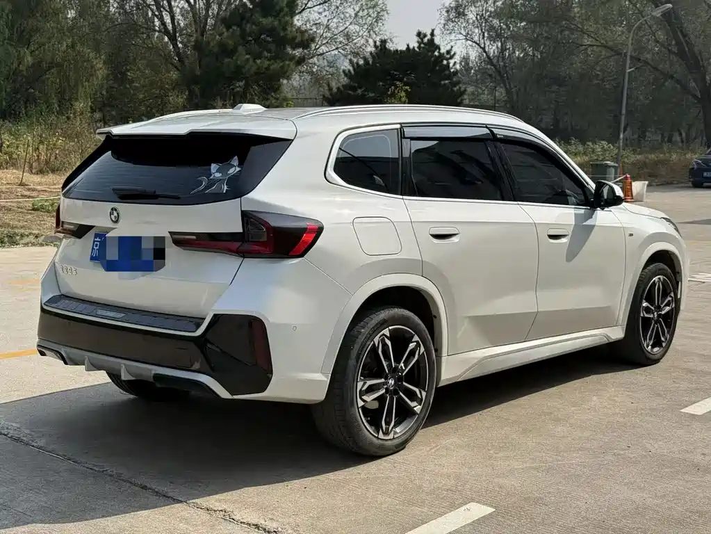 BMW X1 — миниатюра 12