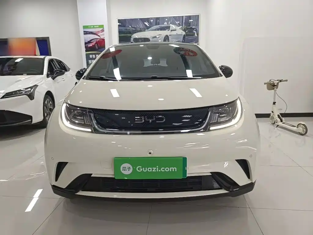 BYD Dolphin — миниатюра 3