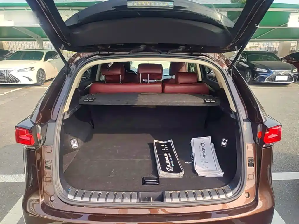 Lexus NX — миниатюра 19