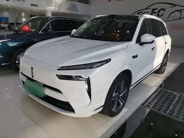 WEI PAI WEI BRAND BLUE MOUNTAIN 2024