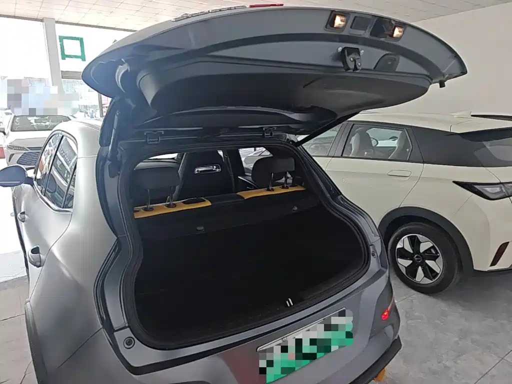 Ora Ora Good Cat GT — миниатюра 19
