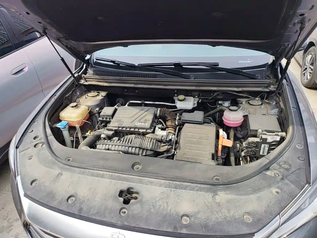BYD Pro New Energy — миниатюра 20