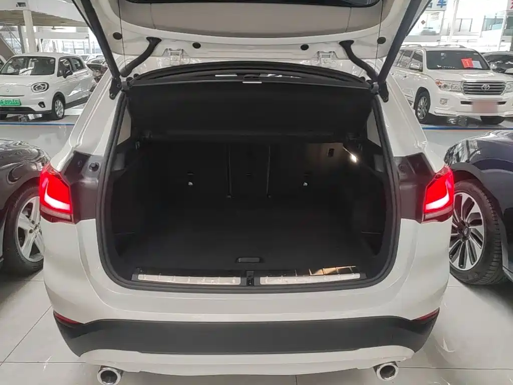 BMW X1 — миниатюра 19