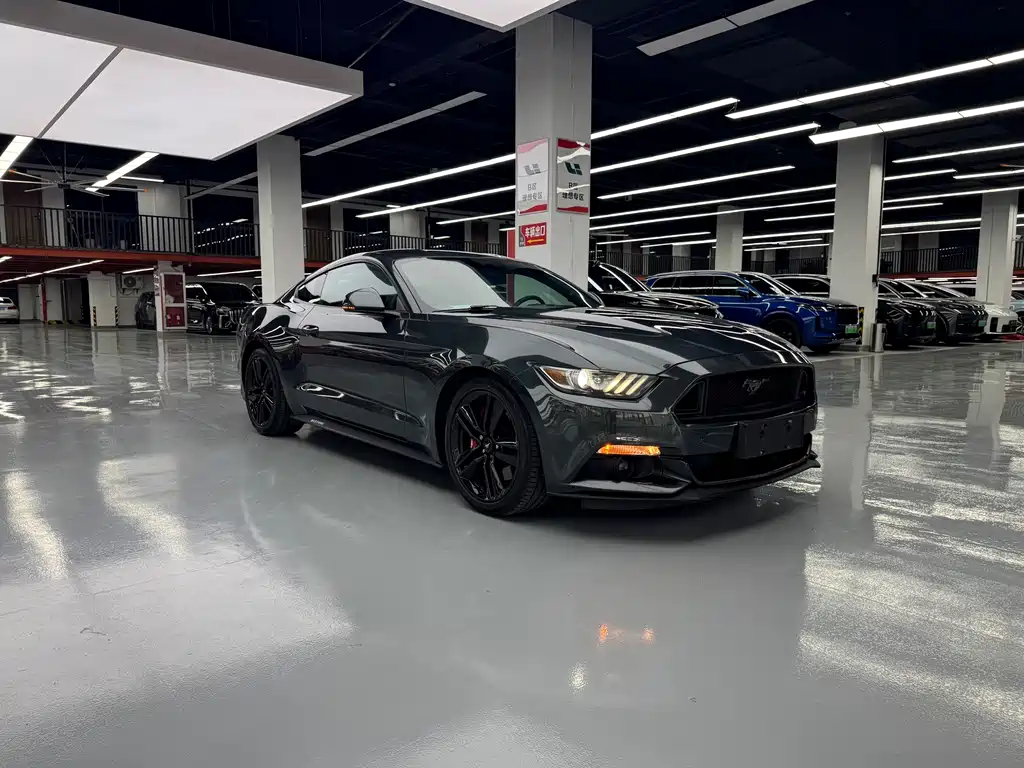 Ford Mustang — миниатюра 3