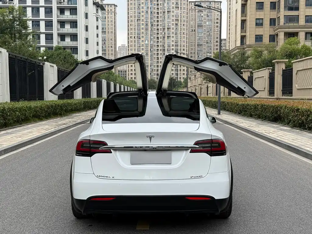 Tesla Model X — миниатюра 5