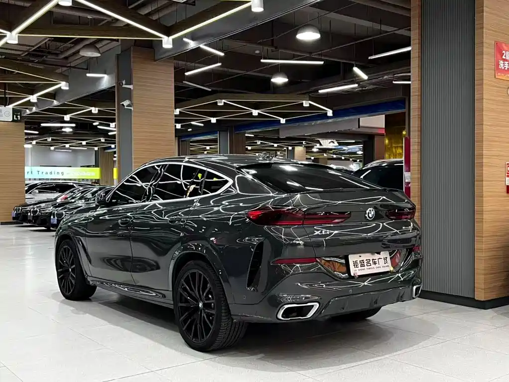 BMW X6 — миниатюра 12