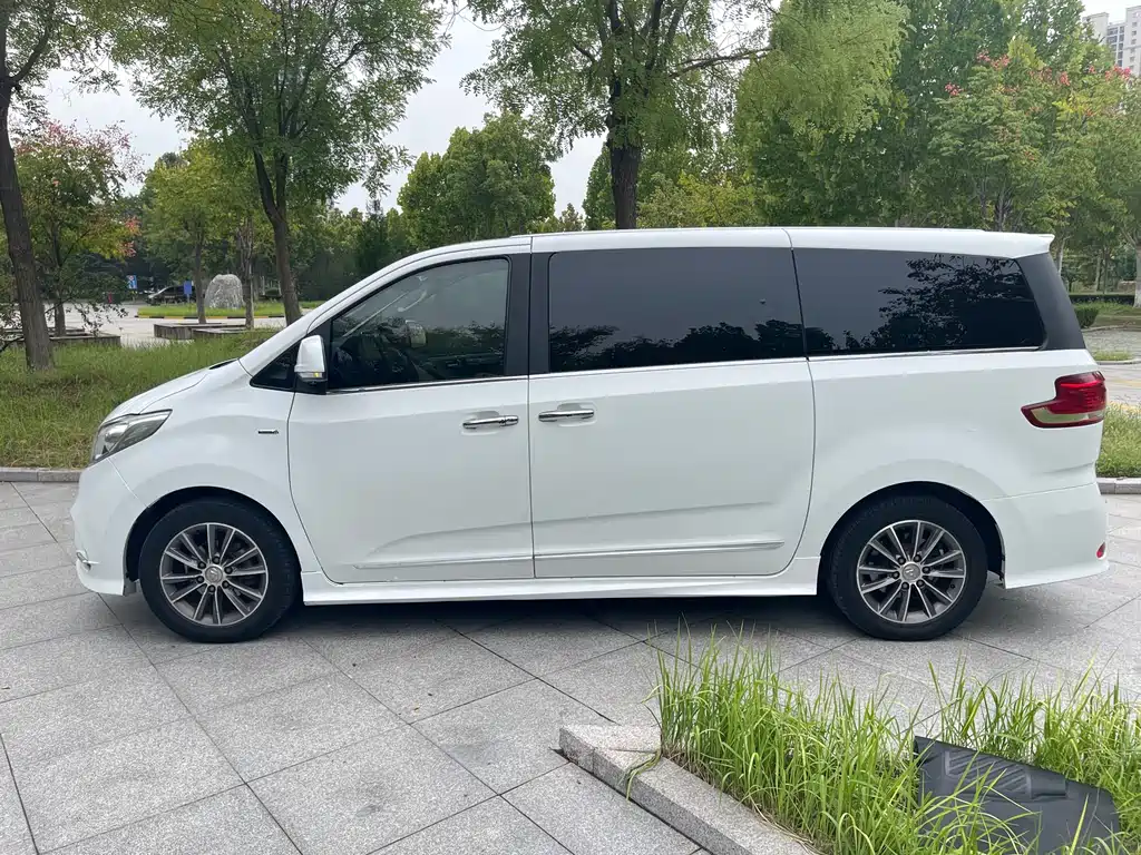 SAIC MAXUS CHASE G10