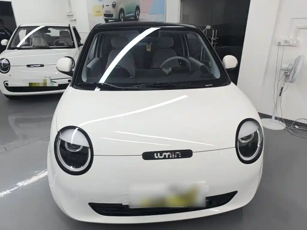 Qiyuan Lumin — миниатюра 3