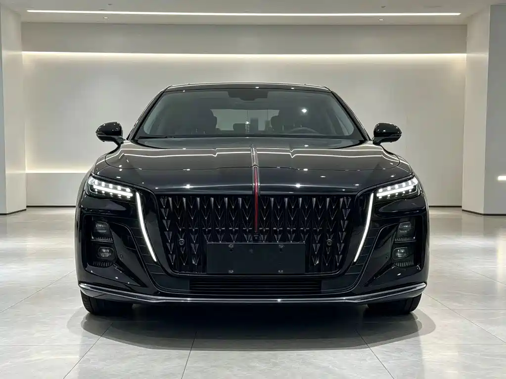Hongqi Hongqi H5 — миниатюра 2