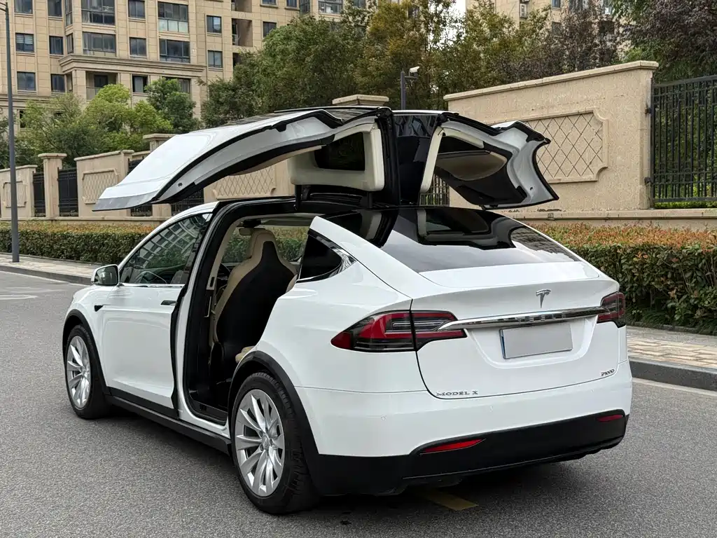 Tesla Model X — миниатюра 6