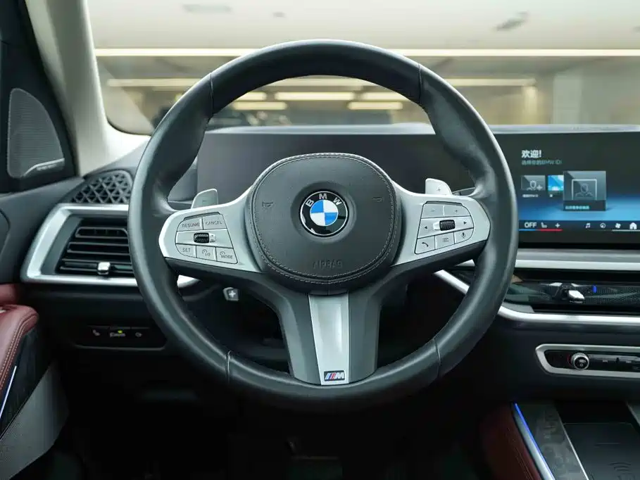 BMW X5 — миниатюра 16