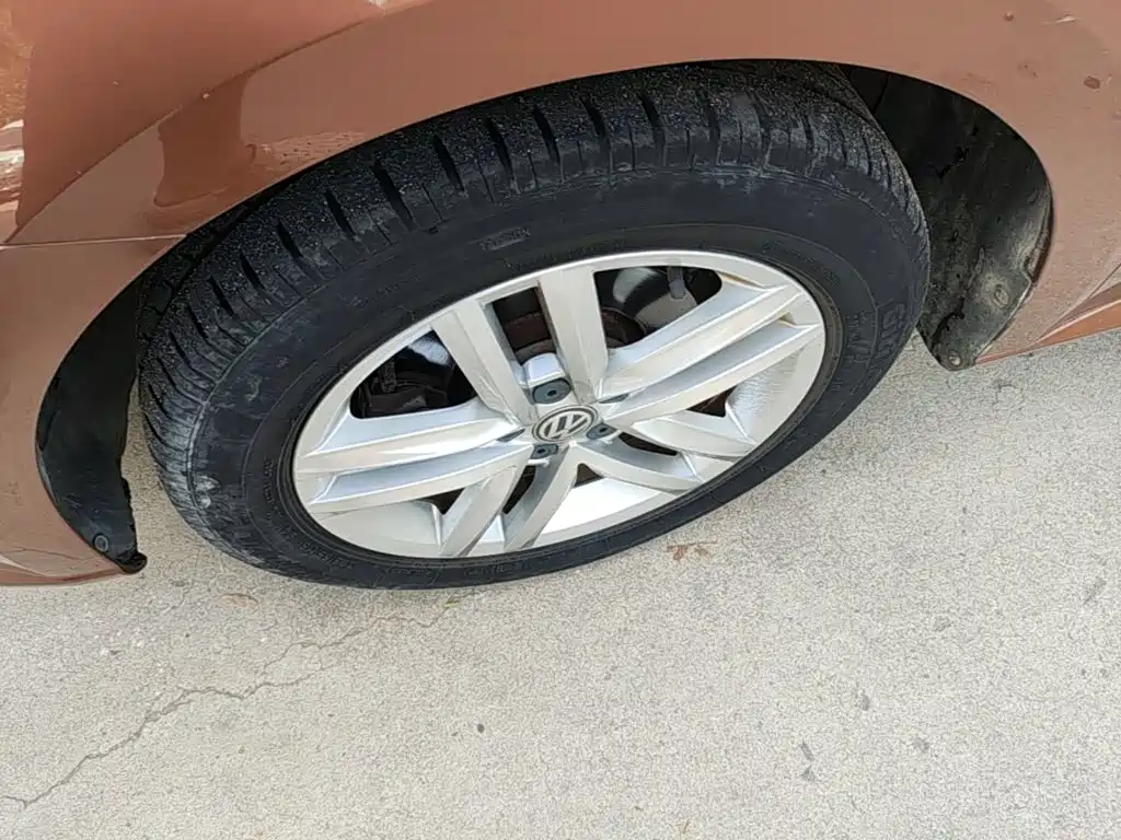 Volkswagen Gran Lavida — миниатюра 23