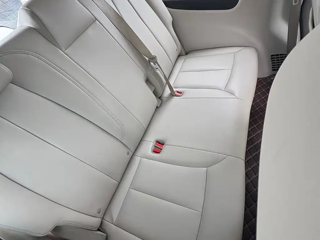 Buick GL8 — миниатюра 11