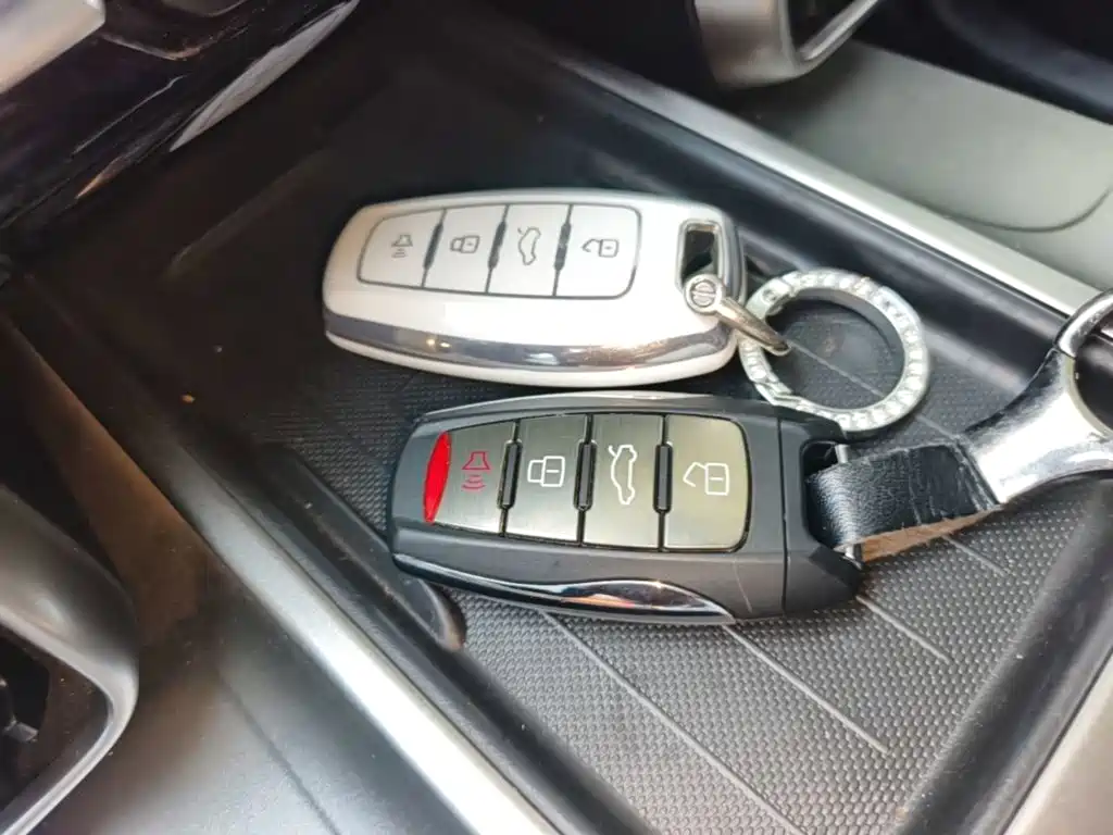 Haval Big Dog — миниатюра 9