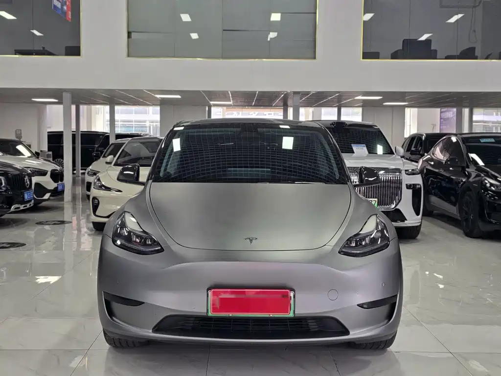Tesla Model Y — миниатюра 2