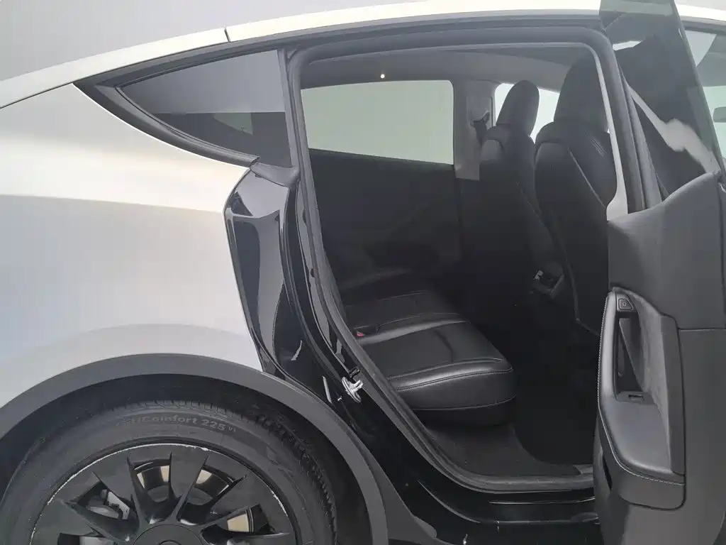 Tesla Model Y — миниатюра 15