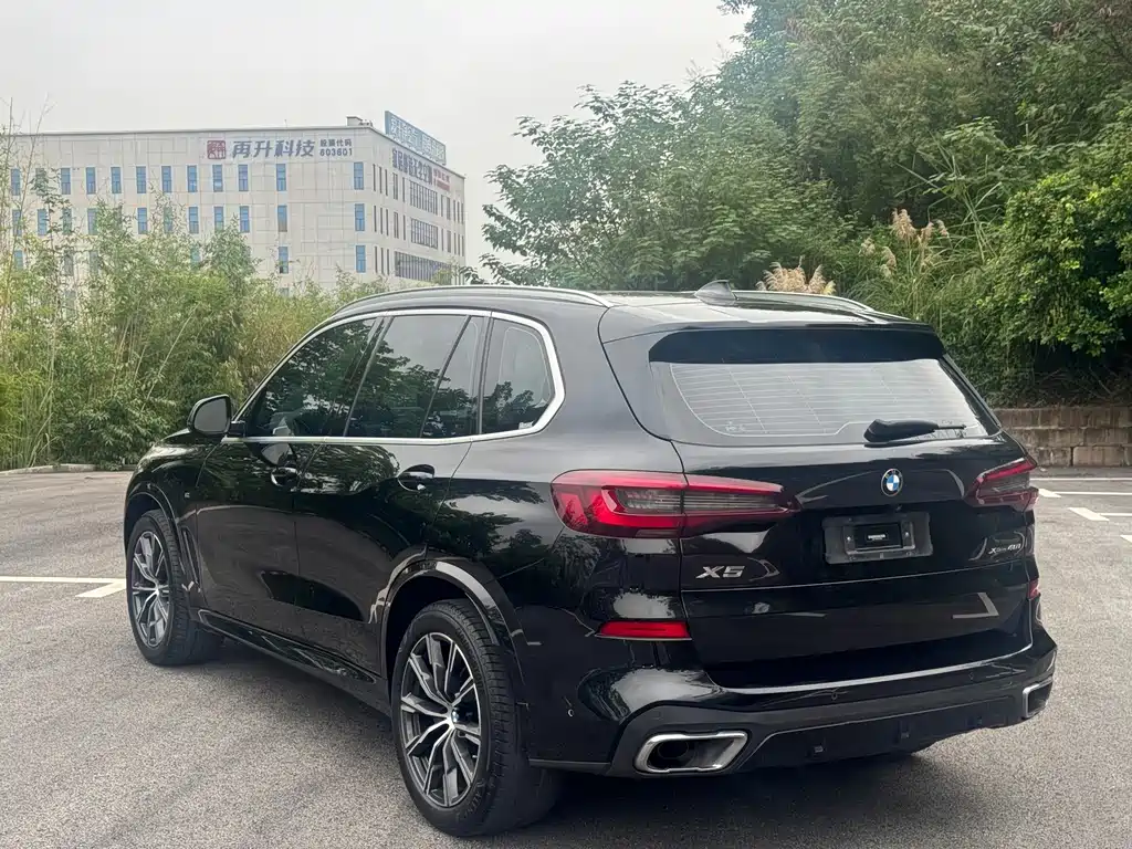 BMW X5 (Import) — миниатюра 5