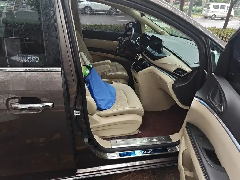 Buick GL8 — миниатюра 18