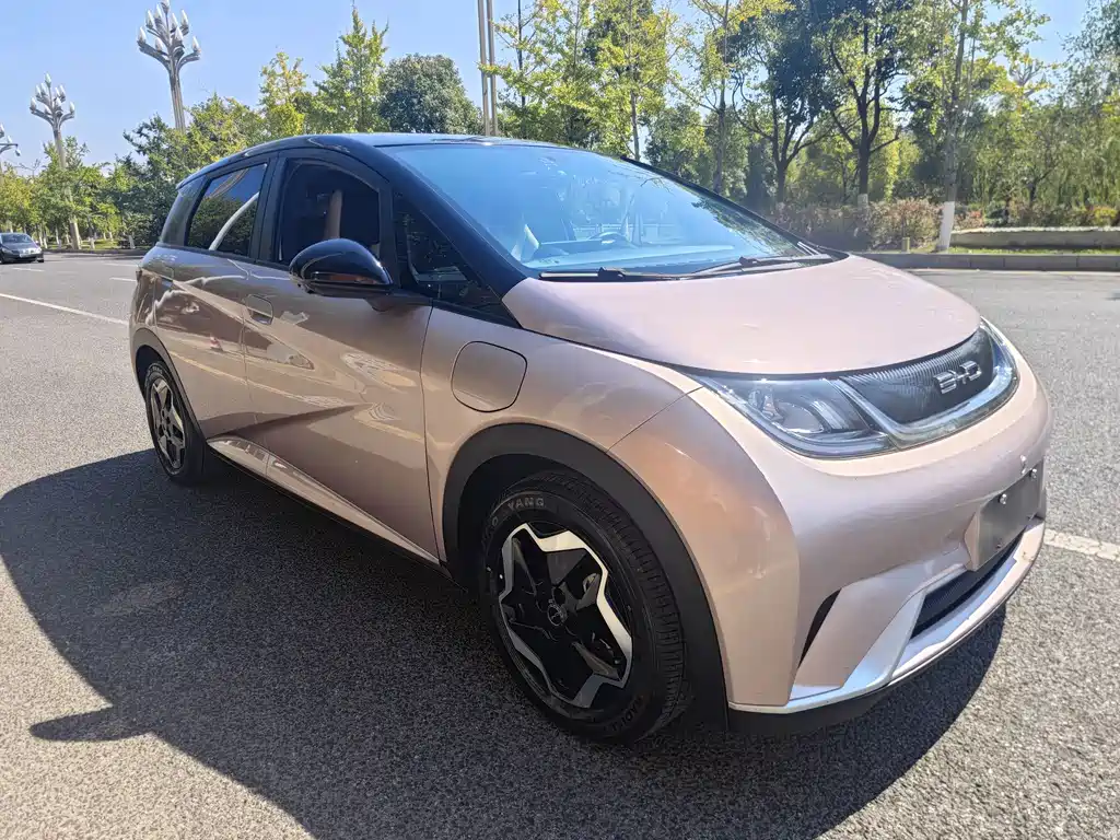 BYD Dolphin — миниатюра 3