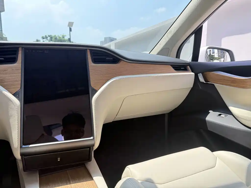 Tesla Model X — миниатюра 15