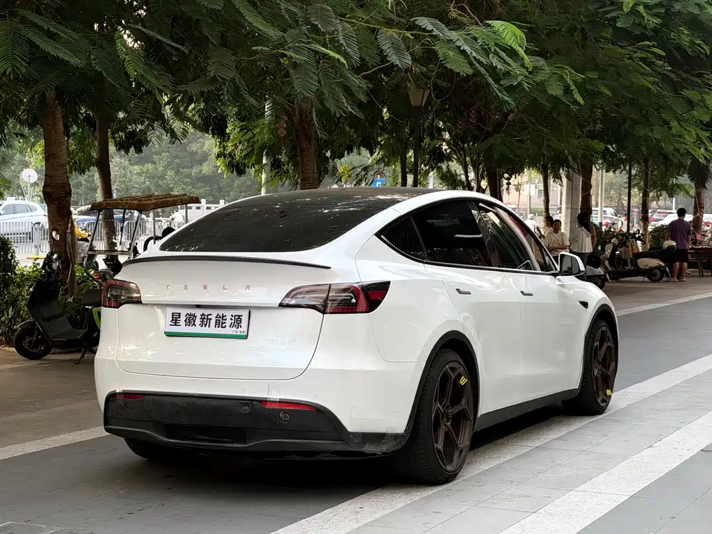 Tesla Model Y — миниатюра 16