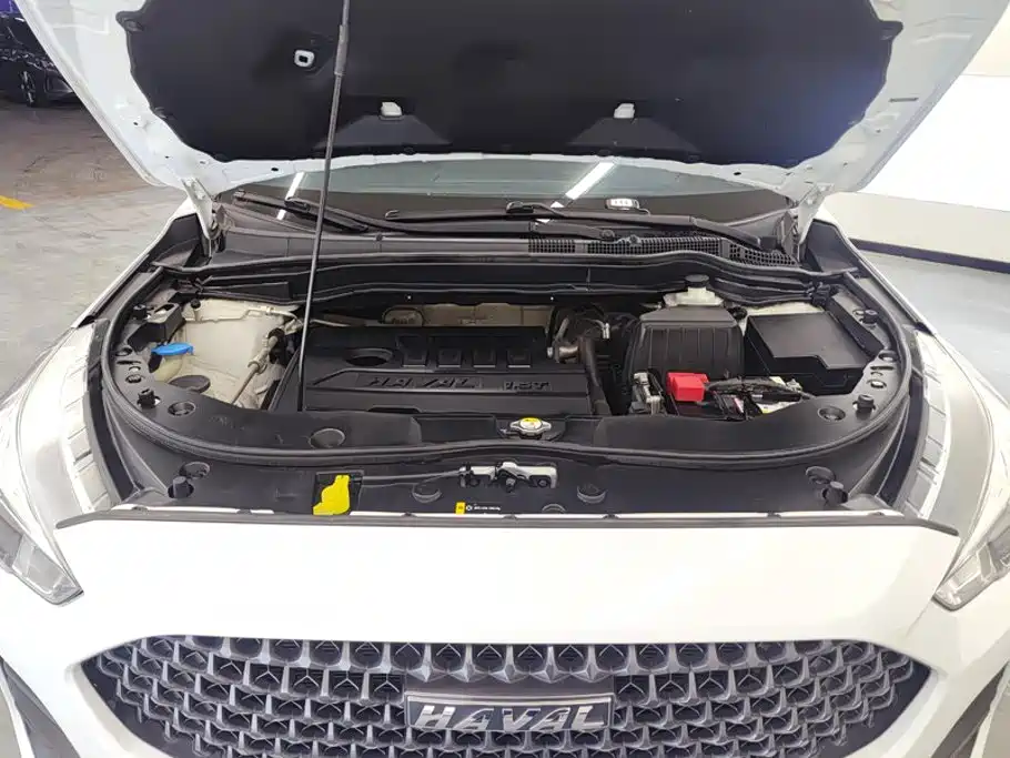 Haval M6 2019 1.5T DCT VI