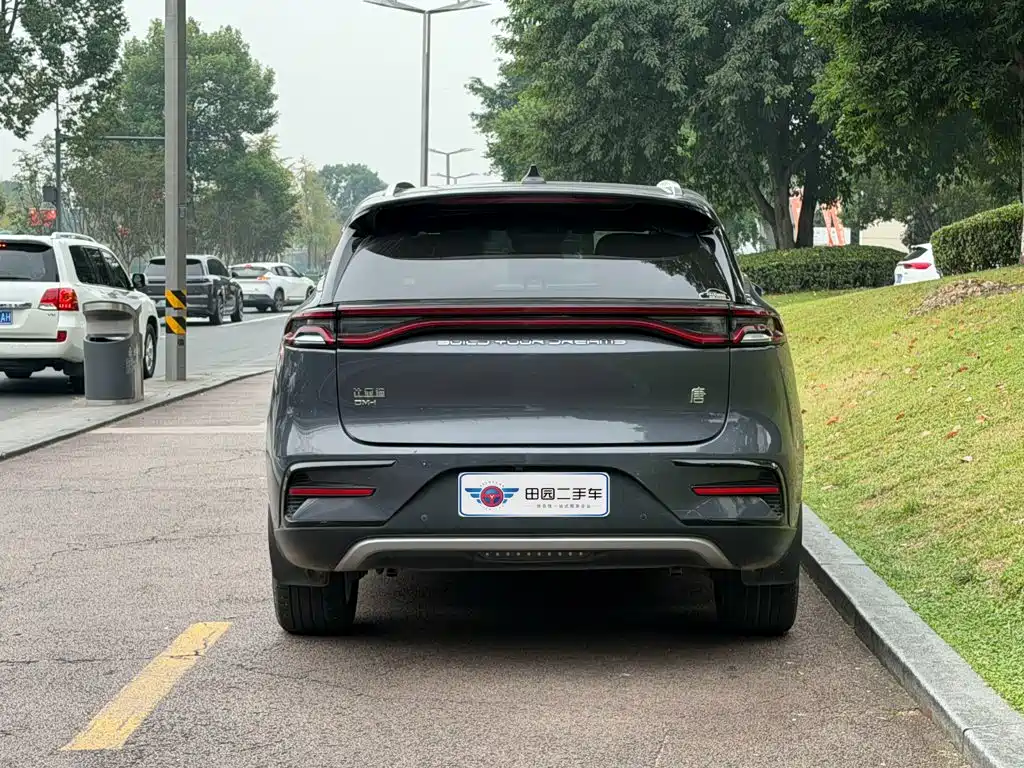 BYD Tang New Energy — миниатюра 5