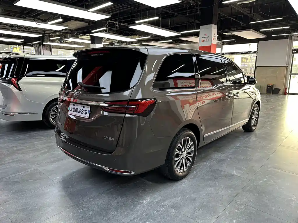 Buick GL8 — миниатюра 4