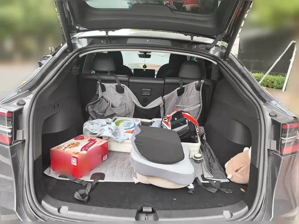 Tesla Model Y — миниатюра 15