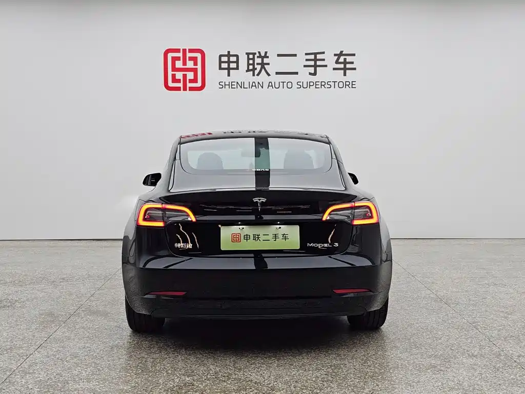 Tesla Model 3 — миниатюра 2
