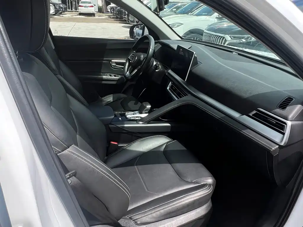 BYD Pro — миниатюра 13