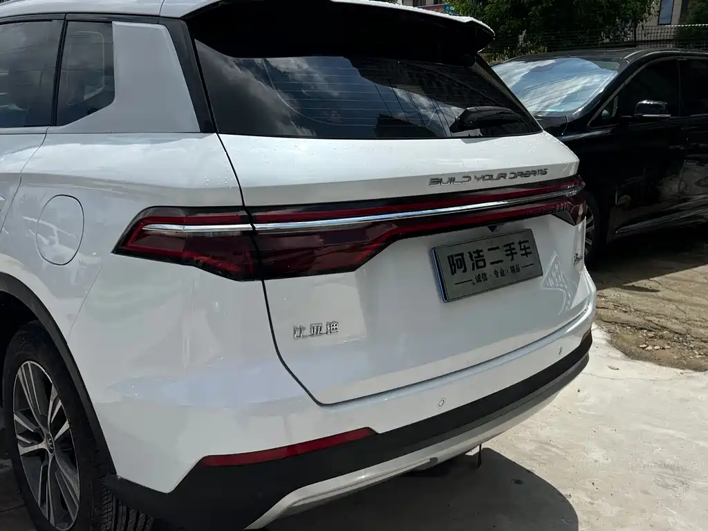 BYD Pro — миниатюра 24