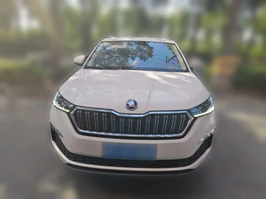Skoda Kamiq — миниатюра 23