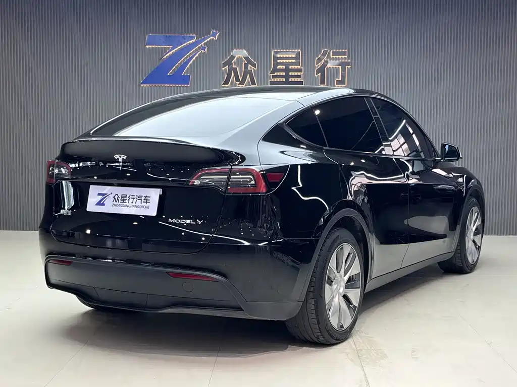 Tesla Model Y — миниатюра 4