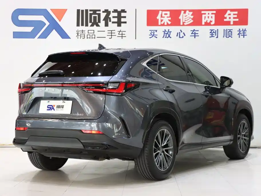 Lexus NX — миниатюра 5