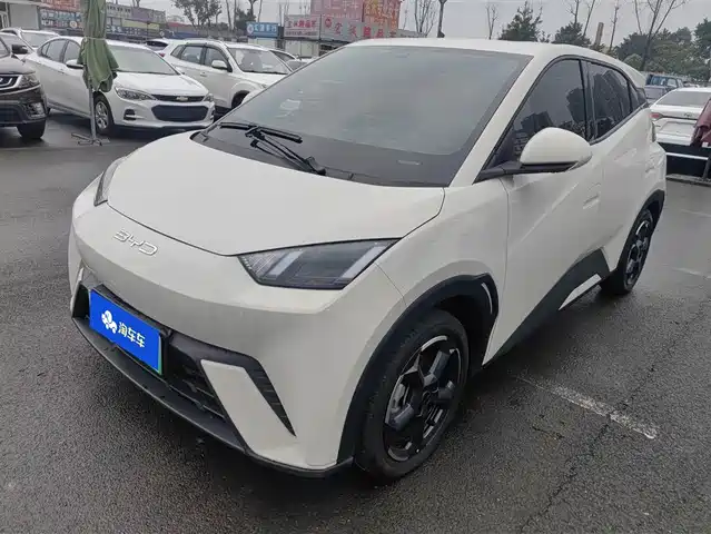 BYD SEAGULL 2024