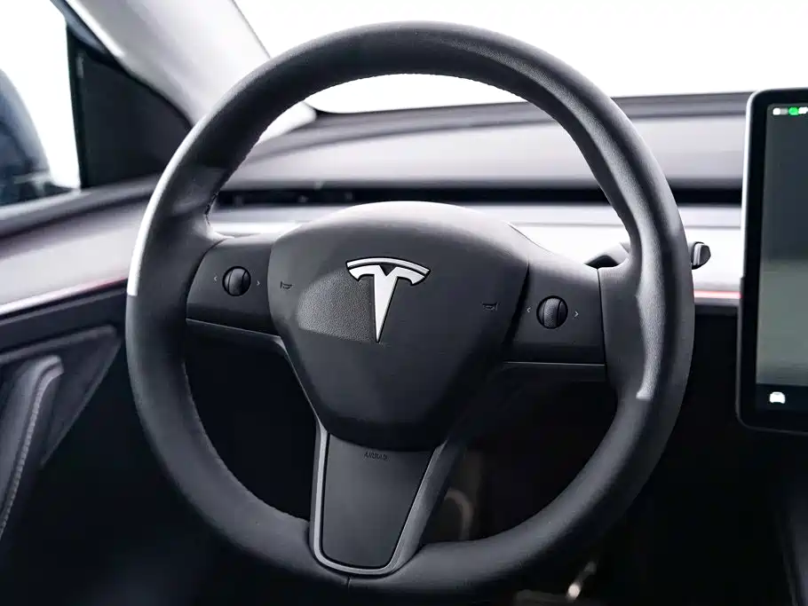 Tesla Model Y — миниатюра 15