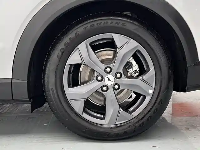 Ford Mustang Mach-E — миниатюра 10