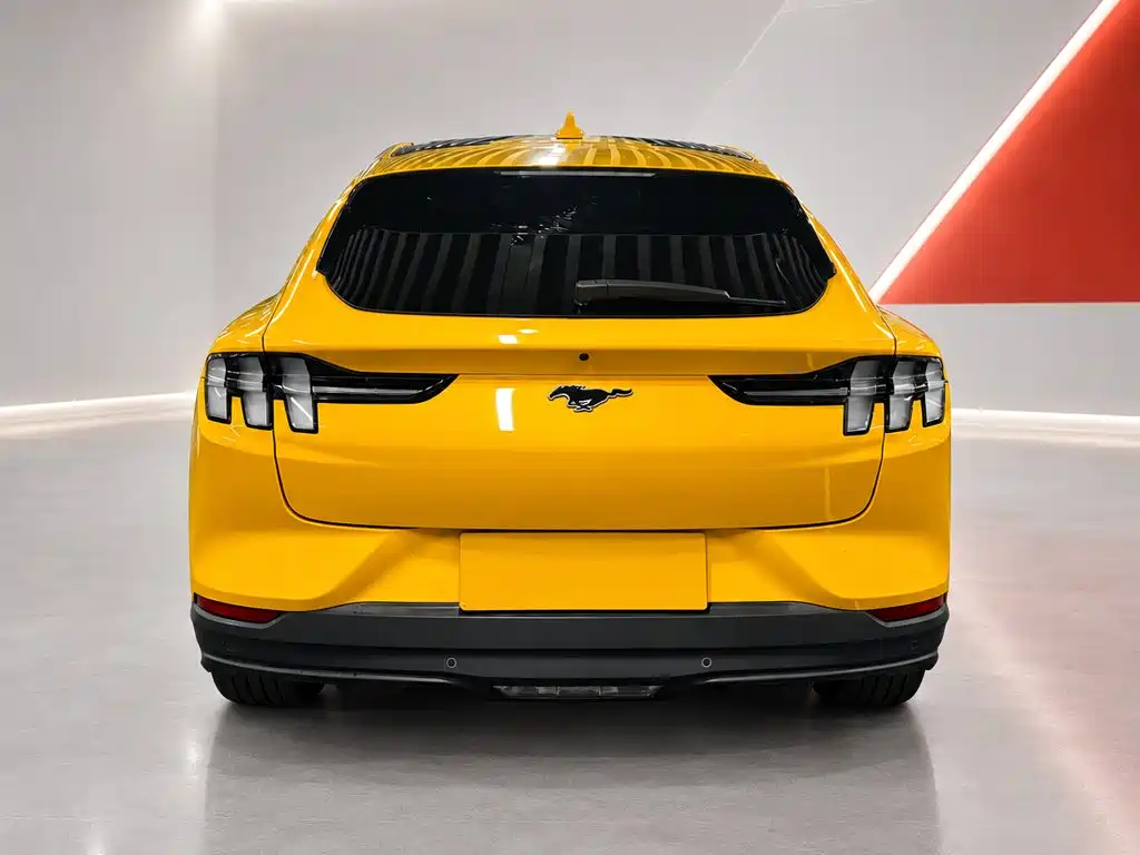 Ford Mustang Mach-E — миниатюра 5