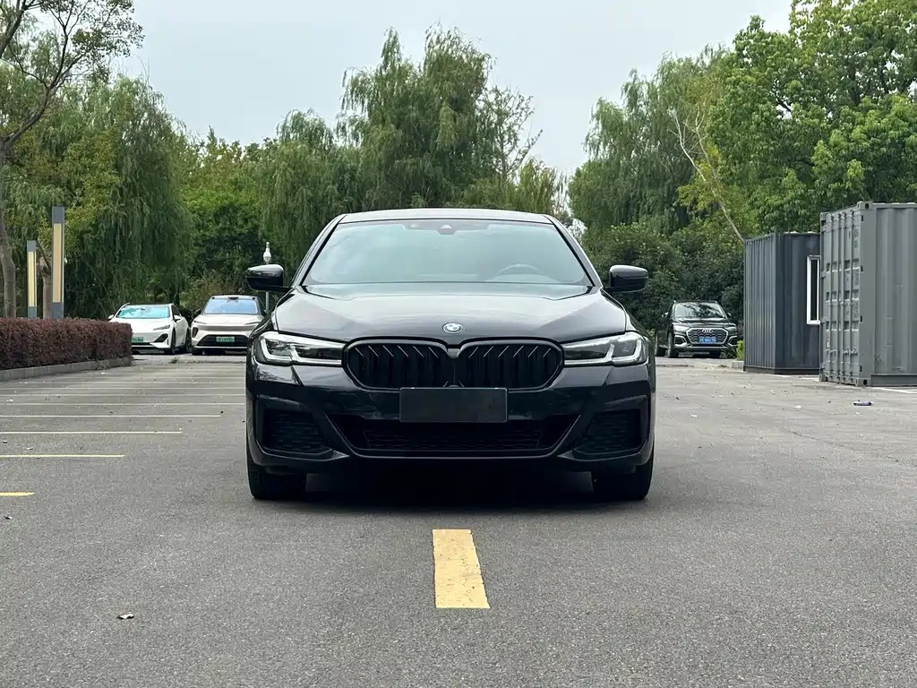 BMW 5 Series — миниатюра 2