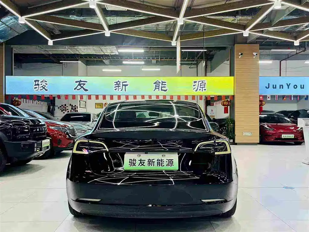 Tesla Model 3 — миниатюра 14