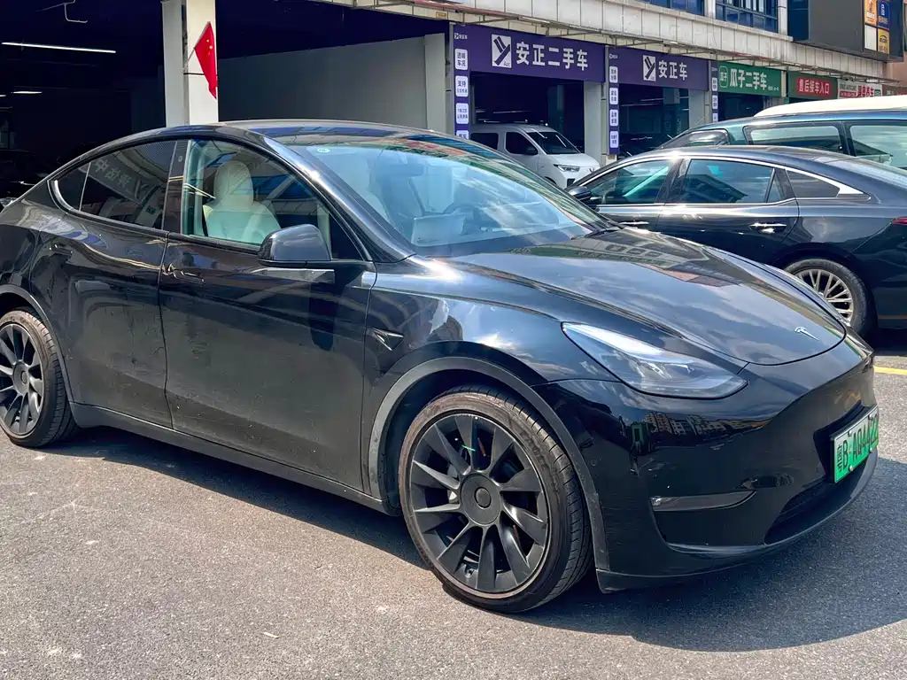 Tesla Model Y — миниатюра 3