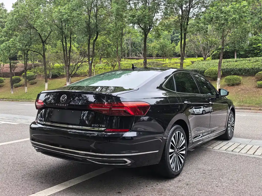 Volkswagen Passat — миниатюра 4