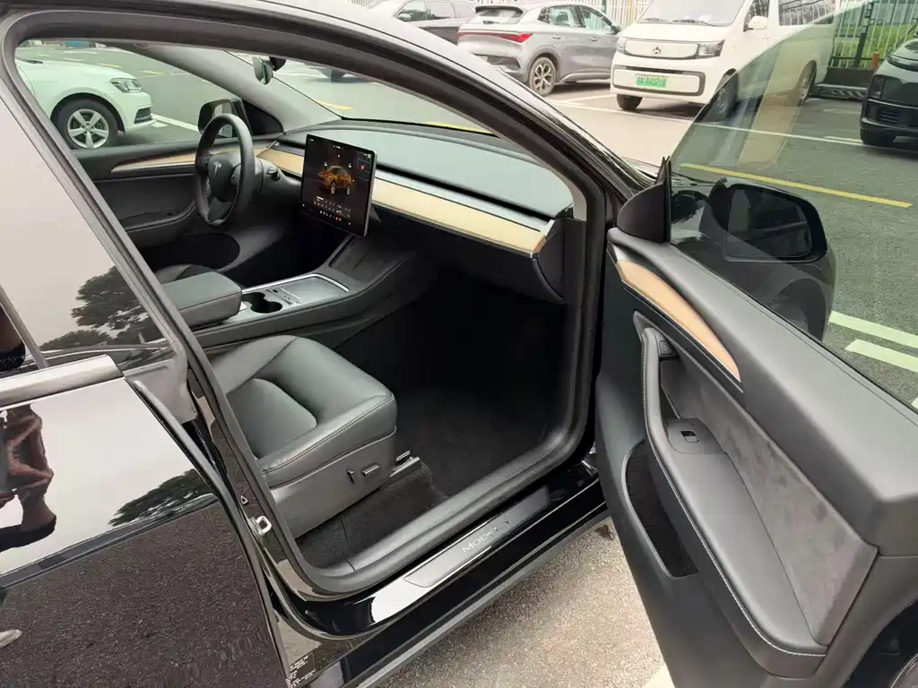 Tesla Model Y — миниатюра 16