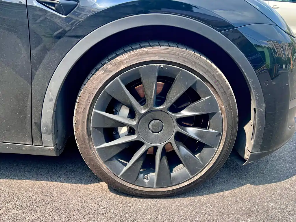 Tesla Model Y — миниатюра 15