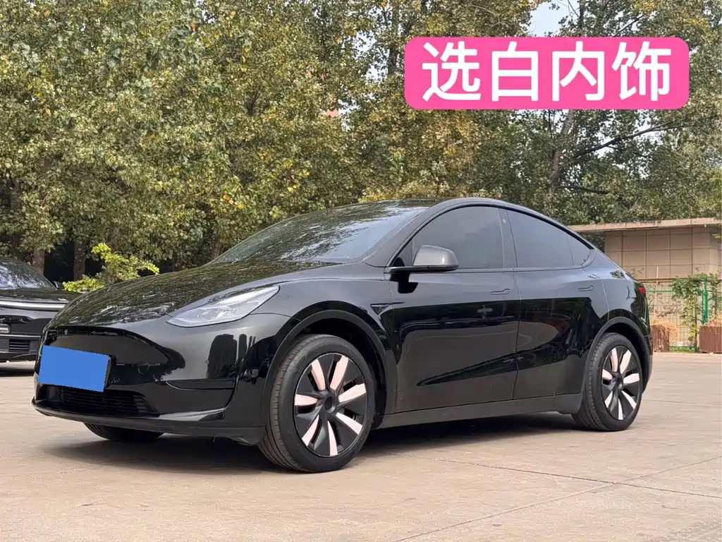Tesla Model Y — миниатюра 6
