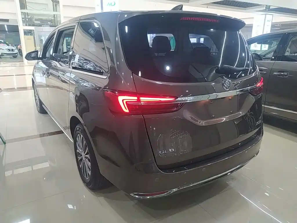 Buick GL8 — миниатюра 5