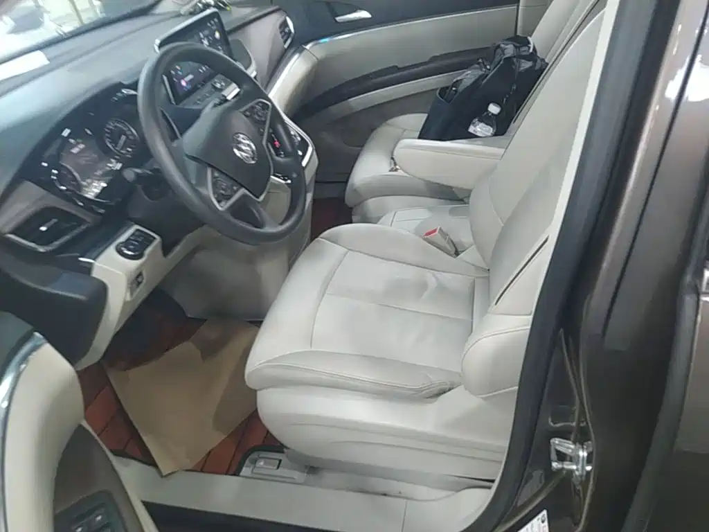 Buick GL8 — миниатюра 15